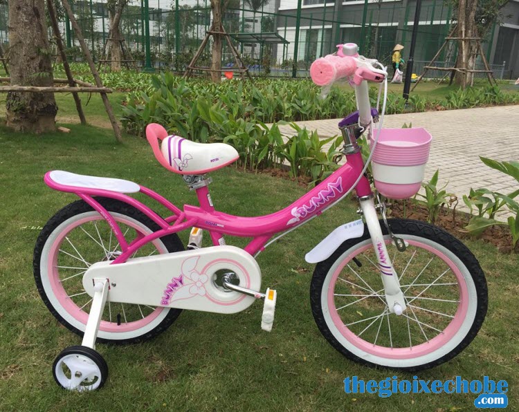  Xe đạp trẻ em RoyalBaby Bunny G-4 màu hồng
