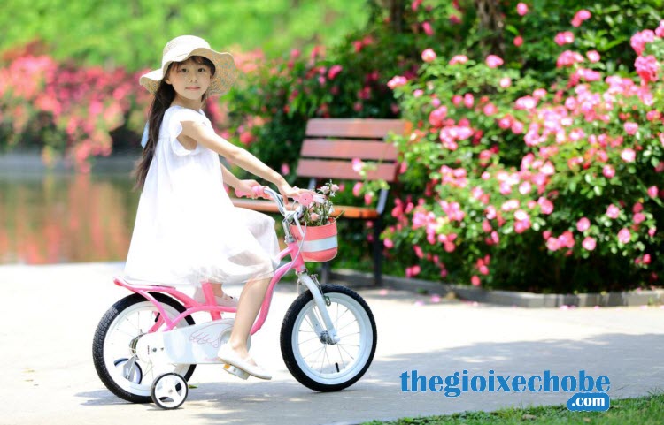 Xe đạp trẻ em RoyalBaby Littel Swan RB-18 màu hồng
