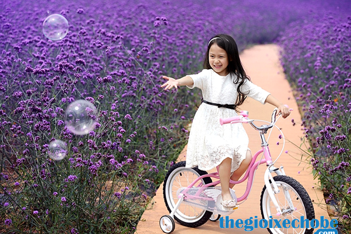 Xe đạp trẻ em RoyalBaby Littel Swan RB-18