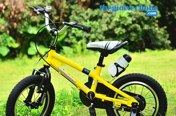 Xe đạp trẻ em RoyalBaby FreeStyle B-7 cho bé trai