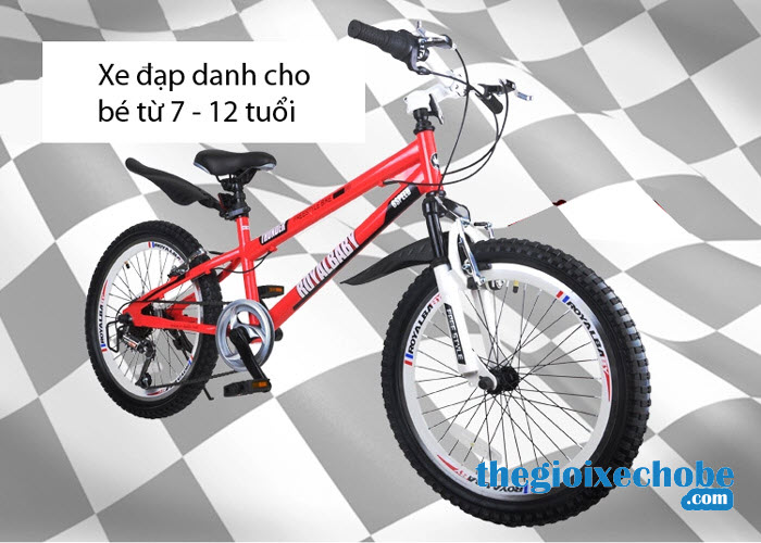  Xe đạp trẻ em RoyalBaby FreeStyle 20B-6S
