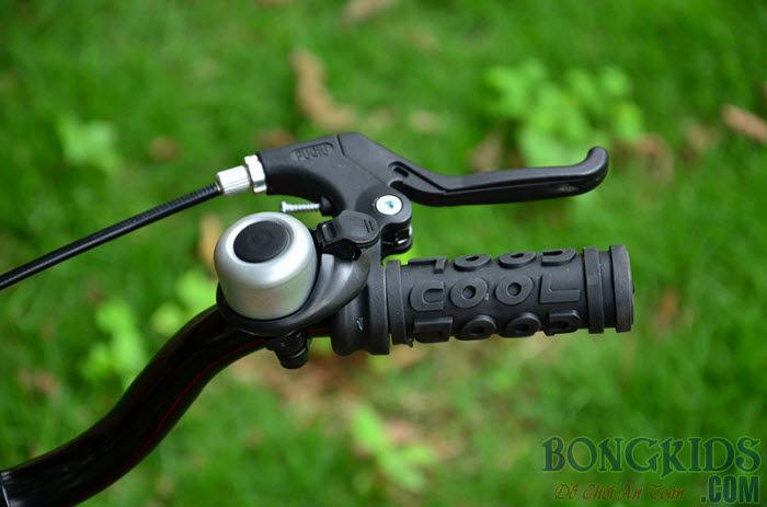 Xe đạp trẻ em ROYALBABY FLYING BEAR B-9